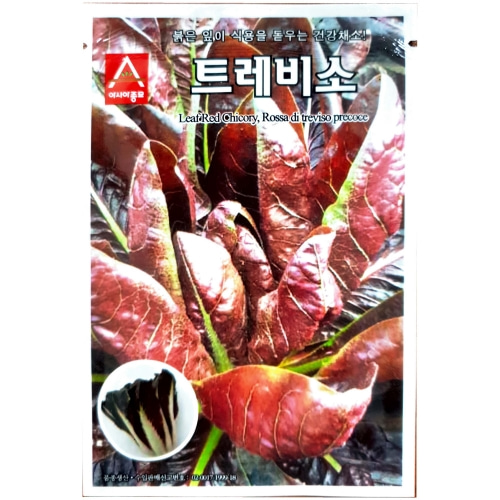 [아시아종묘] 치커리-트레비소 (1500립)