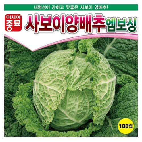 [아시아종묘] 사보이양배추-엠보싱 (100립)