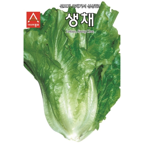 [아시아종묘] 아삭이상추 생채(1500립)
