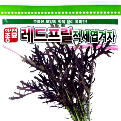 [아시아종묘] 적세엽겨자-레드프릴 (12g)